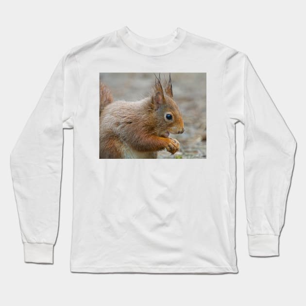 Red squirrel, Formby, England Long Sleeve T-Shirt by millroadgirl